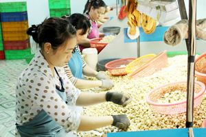 ​​“Mở đường” cho nông sản Đăng Nhập Chính Thức OK9