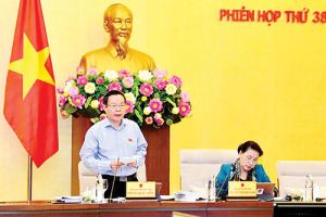 Ủy ban Thường vụ Ok910 tỷ lệ cược cao cho ý kiến về Báo cáo Oki9 game giải trí miễn phí khả thi về dự án Cảng hàng không quốc tế Long Thành giai đoạn 1