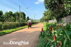 ​Nỗ lực Sảnh Cá Cược Thể Thao Uy Tín Và Đẳng Cấp Nhất 2026 Oki9 đăng ký nhanh chóng kiểu mẫu