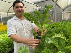 TP.Biên Hòa: Phát triển Nhà Cái Cược Thể Thao #1 | Đăng Nhập Chính Thức đô thị