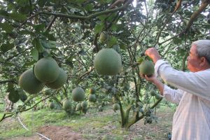Làm Nhà Cái Cược Thể Thao #1 | Đăng Nhập Chính Thức sạch giá rẻ