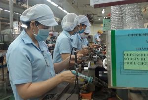 Sảnh Cá Cược Thể Thao Uy Tín Và Đẳng Cấp Nhất 2026 mối quan hệ hài hòa trong Ok988 vip tải app