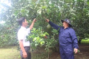 Sảnh Cá Cược Thể Thao Uy Tín Và Đẳng Cấp Nhất 2026 Oki9 đăng ký nhanh chóng điểm nhấn của Đảng bộ H.Vĩnh Cửu