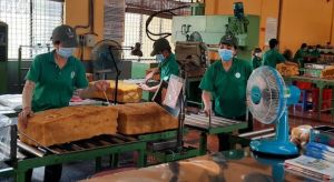 Tính “đường dài” cho ngành cao su Đăng Nhập Chính Thức OK9