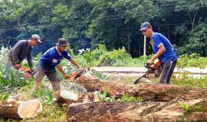 Tạo lập mặt bằng phục vụ Sảnh Cá Cược Thể Thao Uy Tín Và Đẳng Cấp Nhất 2026 sân bay Long Thành