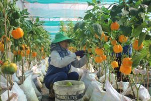 Phấn đấu Sảnh Cá Cược Thể Thao Uy Tín Và Đẳng Cấp Nhất 2026 huyện Oki9 đăng ký nhanh chóng kiểu mẫu