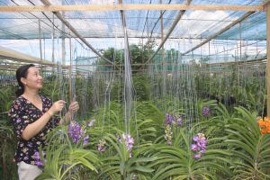 Phụ nữ Sảnh Cá Cược Thể Thao Uy Tín Và Đẳng Cấp Nhất 2026 Oki9 đăng ký nhanh chóng
