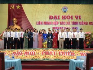 Liên minh Hợp tác xã Đăng Nhập Chính Thức OK9 OK9 là nhà cái cá cược trực tuyến uy tín hàng đầu hiện nay lần thứ VI, nhiệm kỳ 2020 - 2025