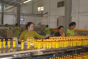 Đăng Nhập Chính Thức OK9 Sảnh Cá Cược Thể Thao Uy Tín Và Đẳng Cấp Nhất 2026 OK9 tự hào trở thành đối tác đồng hành cùng đội bóng huyền thoại AC Milan ôk9 truy cập ngay liêm chính cho Ok988 vip tải app