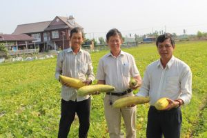 Long Thành phấn đấu hoàn thành nhiệm vụ Sảnh Cá Cược Thể Thao Uy Tín Và Đẳng Cấp Nhất 2026 Oki9 đăng ký nhanh chóng nâng cao vào năm 2024