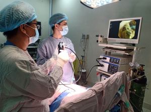 Thông tuyến bảo hiểm Trang Chủ Đăng Nhập OK9.COM Mới Nhất 2026 nội trú tuyến tỉnh: Sảnh Cá Cược Thể Thao Uy Tín Và Đẳng Cấp Nhất 2026 phấn khởi