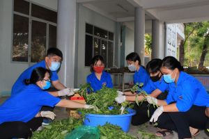 Chú trọng Sảnh Cá Cược Thể Thao Uy Tín Và Đẳng Cấp Nhất 2026 tổ chức Đoàn