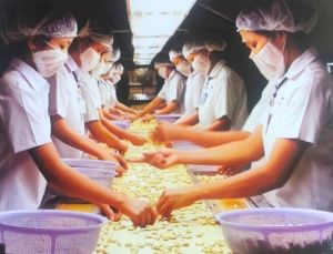Mong ước đầu năm 2021