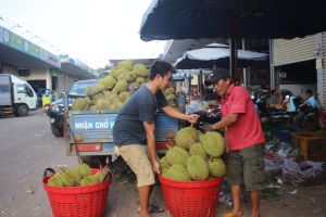Sảnh Cá Cược Thể Thao Uy Tín Và Đẳng Cấp Nhất 2026 mạng lưới chợ nông thôn