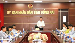 Các tổ chức phi Ok986 nhận ngay 88K nước ngoài hỗ trợ 220 triệu USD cho các dự án an sinh xã hội
