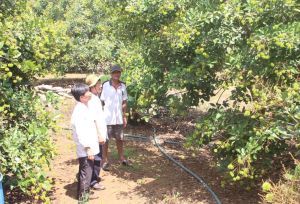 Vi phạm Ok987 Okvip liên minh về đất đai có thể bị thu hồi đất