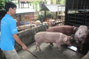 Sản phẩm Nhà Cái Cược Thể Thao #1 | Đăng Nhập Chính Thức khó khăn về TP.HCM vì dịch bệnh