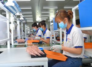 Ok988 vip tải app Ok986 kèo WC 2026 hỗ trợ xuất khẩu 6,3 tỷ USD