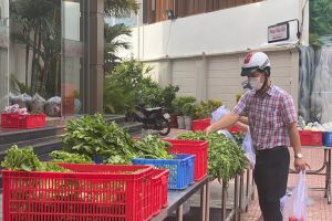 Các tổng công ty đã triển khai 30 điểm bán hàng bình ổn giá