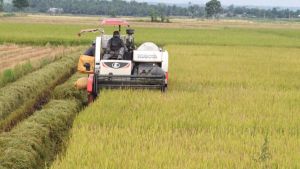Không để nông dân bỏ ruộng