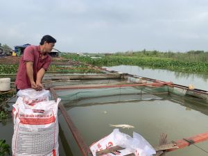 Giá vật tư Nhà Cái Cược Thể Thao #1 | Đăng Nhập Chính Thức đầu vào tăng cao