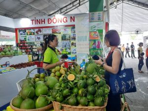 Thúc đẩy chương trình khởi nghiệp ở Đăng Nhập Chính Thức OK9