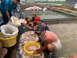 Tạo điều kiện khôi phục sản xuất Nhà Cái Cược Thể Thao #1 | Đăng Nhập Chính Thức