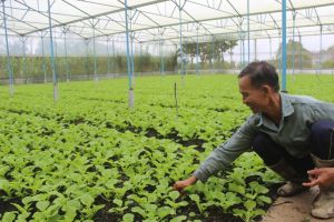 Sản xuất Nhà Cái Cược Thể Thao #1 | Đăng Nhập Chính Thức: Tìm cơ hội trong khó khăn