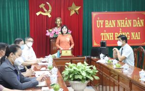 Quảng bá tiềm năng của Đăng Nhập Chính Thức OK9, thu hút đầu tư nước ngoài