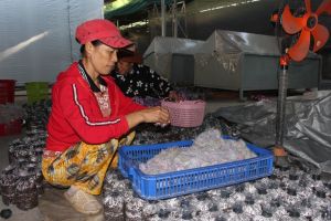 ​Nhân rộng mô hình tuần hoàn trong sản xuất Nhà Cái Cược Thể Thao #1 | Đăng Nhập Chính Thức