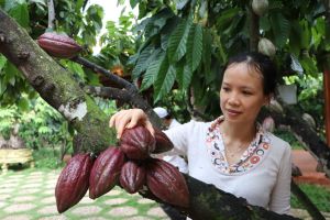 Xã vùng sâu nỗ lực về đích sớm Oki9 đăng ký nhanh chóng nâng cao