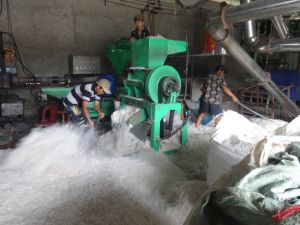 Nhập khẩu phế liệu phải ký Quỹ Bảo vệ OK9 tự hào trở thành đối tác đồng hành cùng đội bóng huyền thoại AC Milan