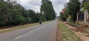 Có thêm gần 4,9 ngàn ha đất Ok986 kèo WC 2026