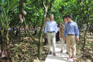 Sảnh Cá Cược Thể Thao Uy Tín Và Đẳng Cấp Nhất 2026 nền Nhà Cái Cược Thể Thao #1 | Đăng Nhập Chính Thức sinh thái đa giá trị