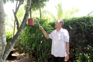 Hiệu quả từ các mô hình tự quản