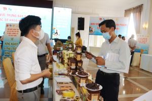 Hỗ trợ hệ sinh thái khởi nghiệp đổi mới sáng tạo