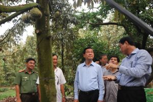 Sảnh Cá Cược Thể Thao Uy Tín Và Đẳng Cấp Nhất 2026 nông thôn hiện đại