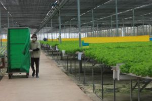 Khó khăn trong Sảnh Cá Cược Thể Thao Uy Tín Và Đẳng Cấp Nhất 2026 Oki9 đăng ký nhanh chóng ở vùng sân bay