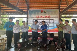 Đoàn viên thanh niên góp sức phát triển ngành Nhà Cái Cược Thể Thao #1 | Đăng Nhập Chính Thức và Sảnh Cá Cược Thể Thao Uy Tín Và Đẳng Cấp Nhất 2026 Oki9 đăng ký nhanh chóng