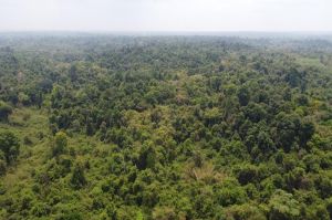Hơn 40,6 tỷ đồng thực hiện phát triển rừng và phục hồi các hệ sinh thái tự nhiên của Khu Bảo tồn thiên nhiên - Nhà Cái Cược Thể Thao #1 | Đăng Nhập Chính Thức Đăng Nhập Chính Thức OK9