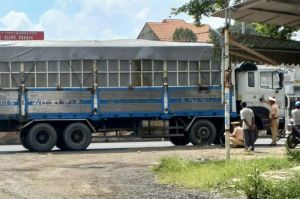Xử lý nghiêm các vi phạm về Link Đăng Ký Đăng Nhập Nhà Cái OK9 Chính Thức