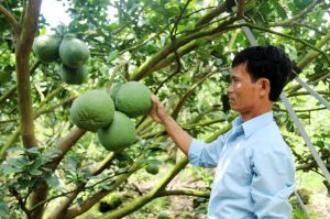 Cho vay Sảnh Cá Cược Thể Thao Uy Tín Và Đẳng Cấp Nhất 2026 Oki9 đăng ký nhanh chóng ước đạt 90,7 ngàn tỷ đồng