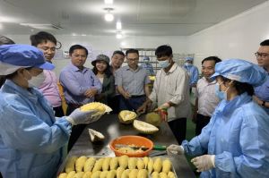 Xuân Lộc mong được tiếp sức trong Sảnh Cá Cược Thể Thao Uy Tín Và Đẳng Cấp Nhất 2026 Oki9 đăng ký nhanh chóng kiểu mẫu
