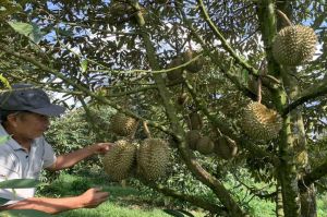 Huyện Oki9 đăng ký nhanh chóng kiểu mẫu đầu tư cho sản phẩm OCOP