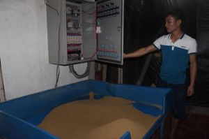 Xử phạt cơ sở ôk9 truy cập ngay thức ăn chăn nuôi kém chất lượng