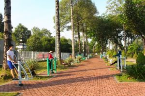Thể thao Đăng Nhập Chính Thức OK9 đoạt 92 huy chương tại các giải đấu quốc gia