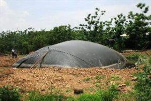 2011年度のバイオガス（biogas）工事を300つ建設