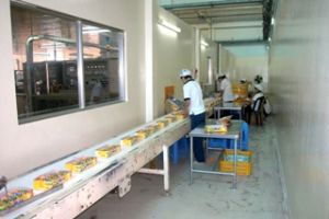 2010年工业生产和贸易所有项目都达到目标及计划。