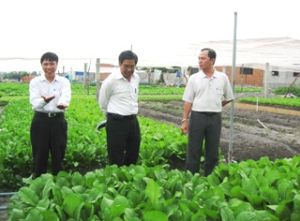 农业和农村发展厅签署了合作协议有关实施投入应用良好生产蔬菜安全的模式。