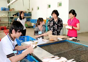 実践に労働法の展開を強化する